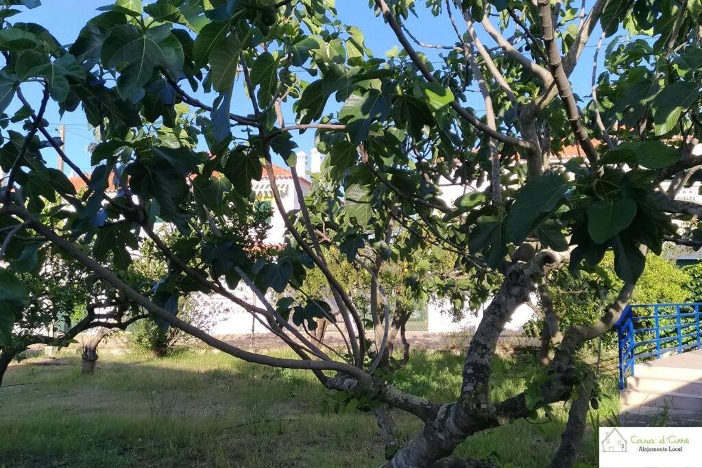 Casa D'Avo Daire Altura Dış mekan fotoğraf